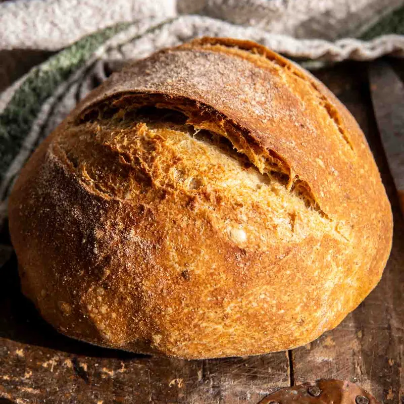 The Best (easiest) No Knead Bread