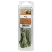 Fresh Organic Sage