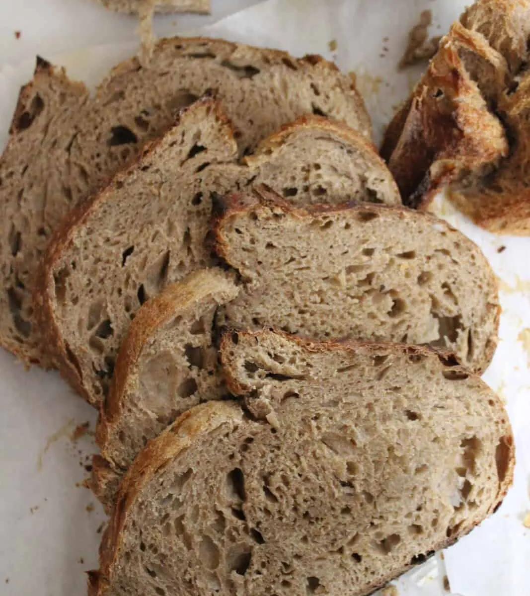 Honey Whole Wheat Sourdough Loaf
