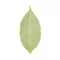 Organic Bay Leaves Package