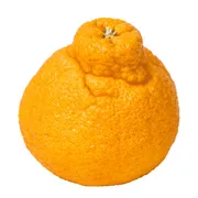 Sumo Mandarin