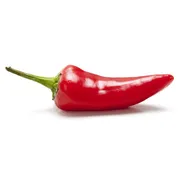 Fresno Pepper