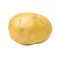 Organic White Potato