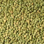 Organic Green Lentils
