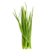 Chives
