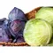 Green Cabbage