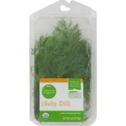 Baby Dill