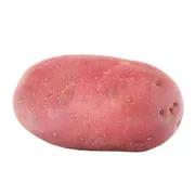 Red Potato