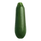 zucchini