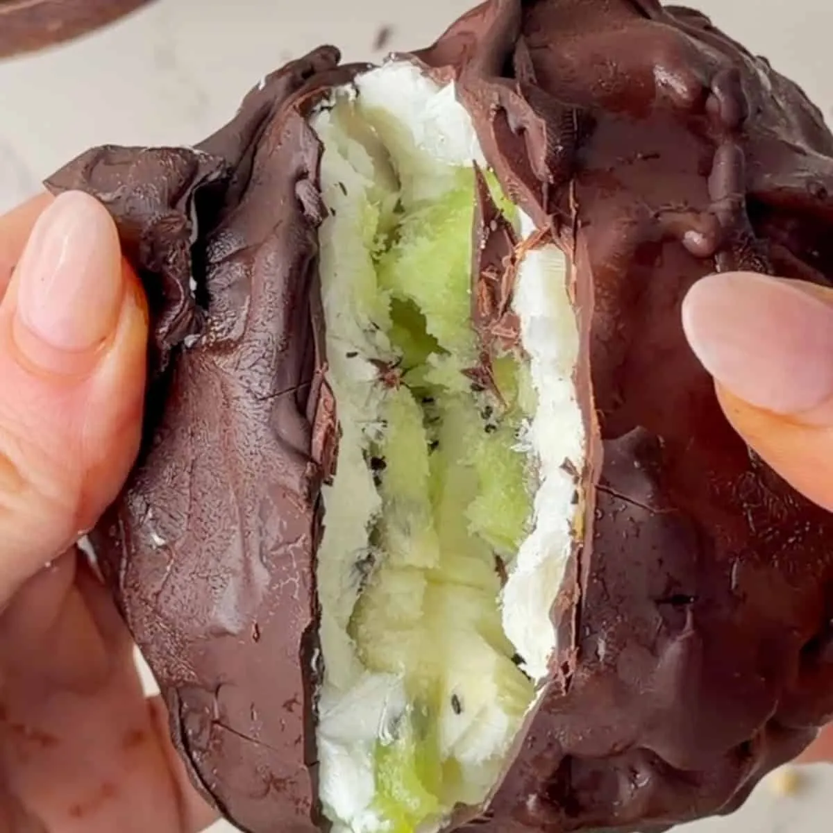 Chocolate Yogurt Kiwi Bites (Easy No-Bake Snack)