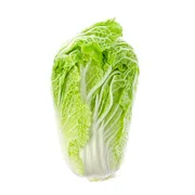 Organic Napa Cabbage