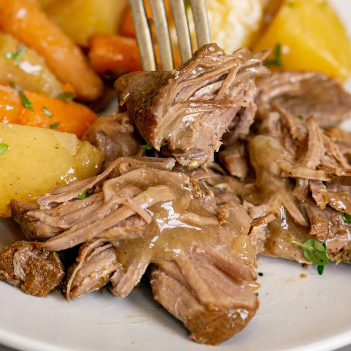 Slow Cooker Venison Roast with Gravy