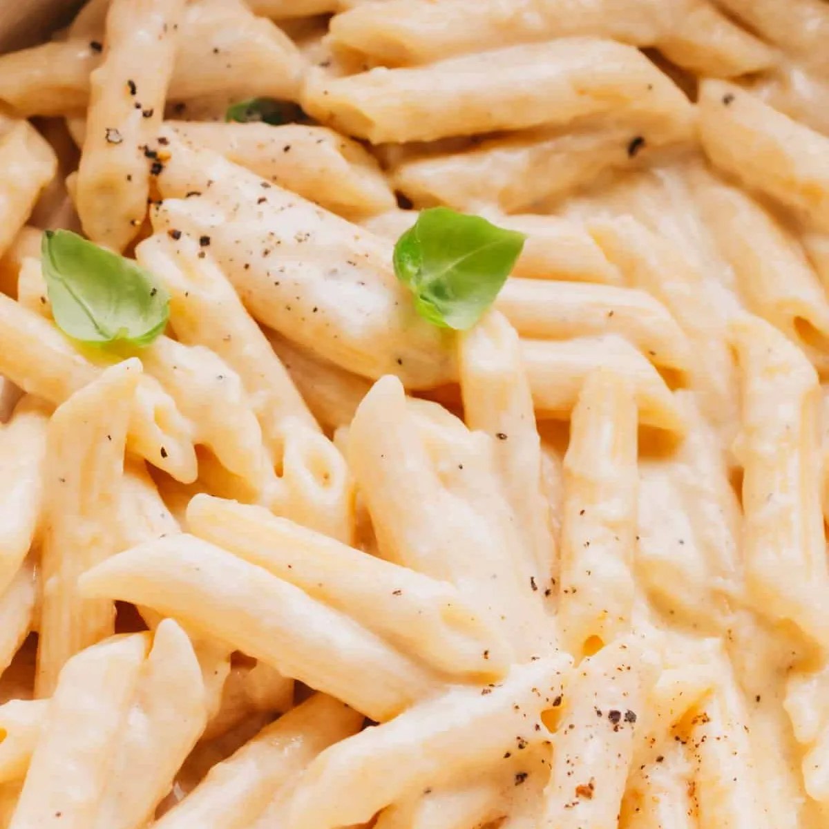 The Easy Alfredo Sauce with Penne Pasta You'll Make on Repeat