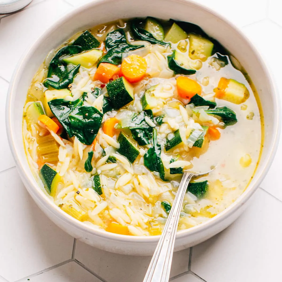 Vegetable Orzo Soup
