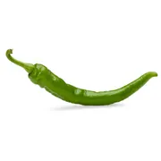 Green Long Hot Pepper