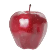 Large Delicious Red Apple