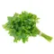 Best Available Parsley Italian Special