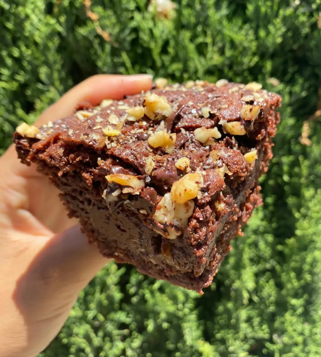 DOUBLE CHOCOLATE WALNUT BROWNIES