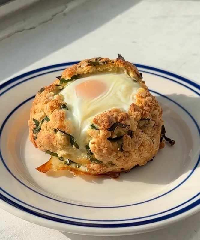 Ramp & Cheddar Biscuit