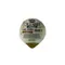 Busseto Foods Salami Fennel SNCK CPS