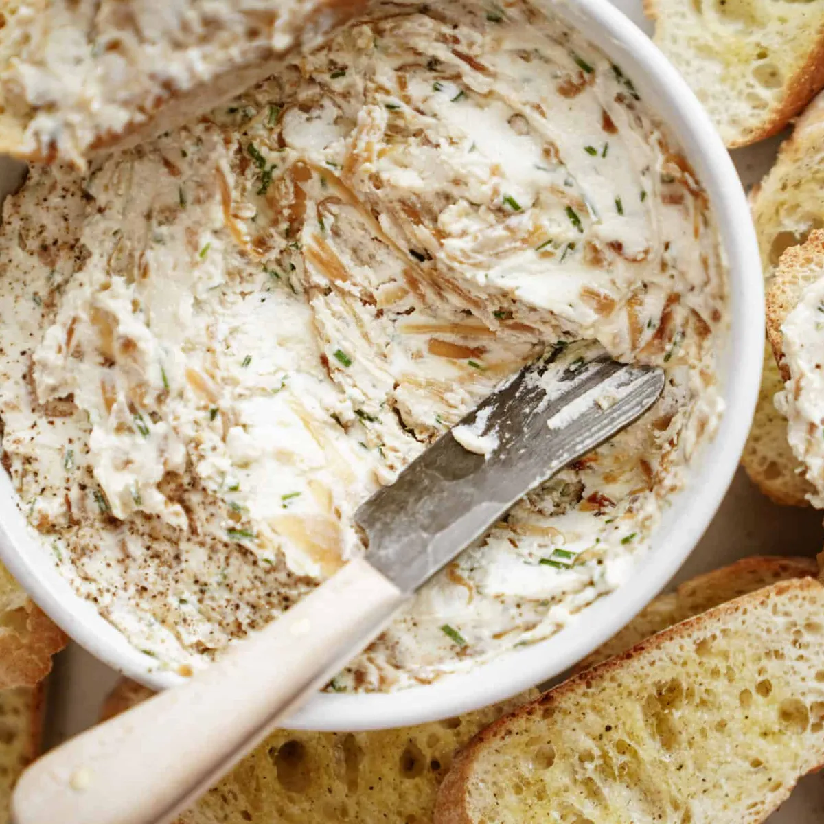Creamy French Onion Dip