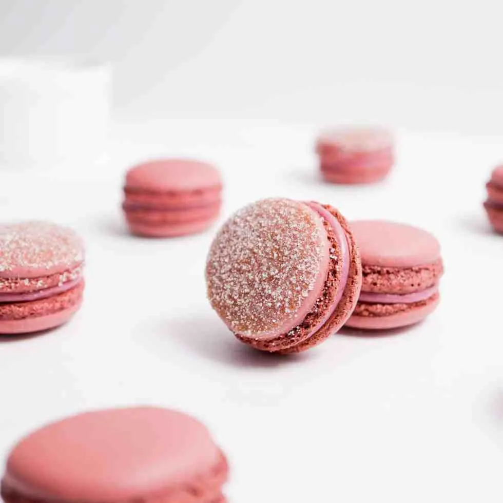 sugar plum macarons