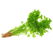 Chinese Celery