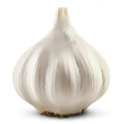 Organic Garlic