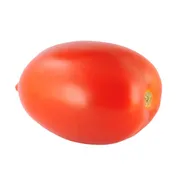 Organic Roma Tomato Package