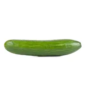 Organic Cucumber