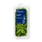 Organic Basil - 0.5oz - Good & Gather