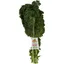 Foxy Organic Green Kale