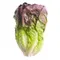 Organic Red Romaine Lettuce