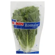 Dandy Romaine Lettuce