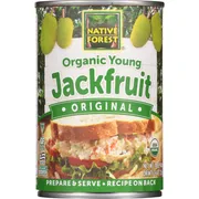 Native Forest Jackfruit, Organic, Original, Young