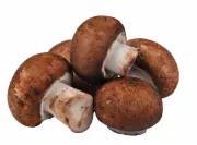 USA Cremini Mushroom, Bulk
