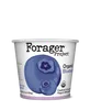 Forager Project Organic Dairy-Free Blueberry Cashewmilk Yogurt