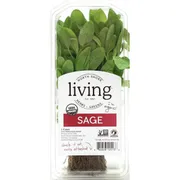 North Shore Living Sage