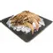 Endeavor U-15 Previously Frozen Prawn