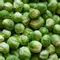 Brussel Sprouts Package