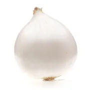 White Onion