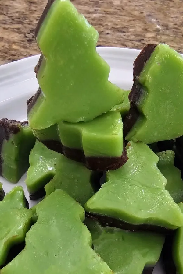 Mint Chocolate Fudge
