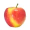 Organic Envy Apple