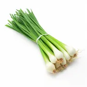 Scallion