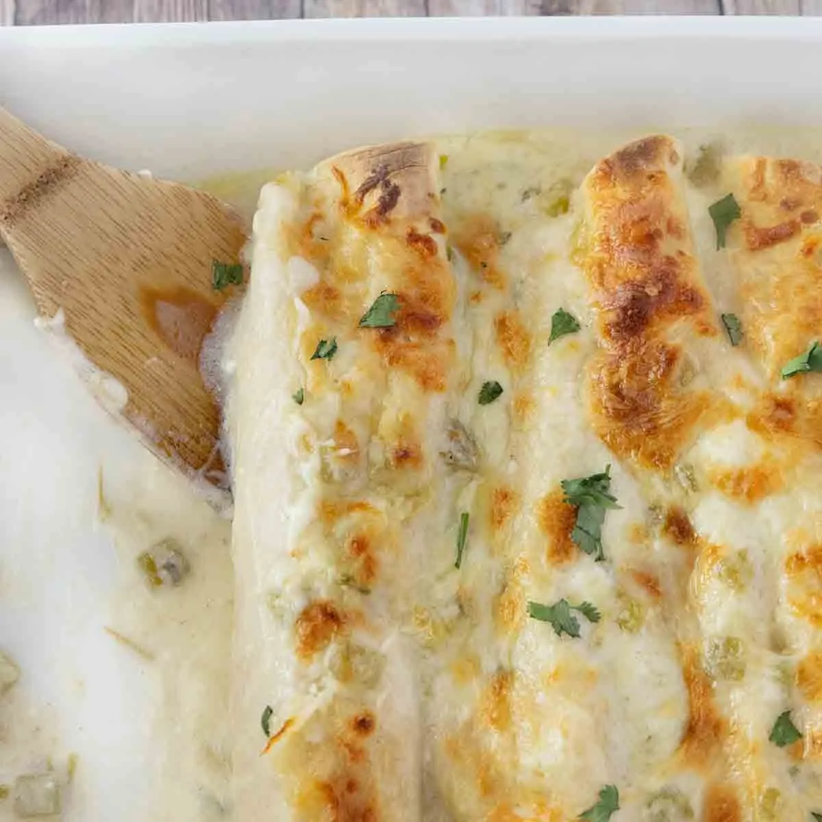 Creamy White Chicken Enchiladas Recipe