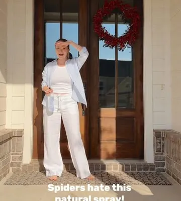Recipe 'Spider Repellent Spray'