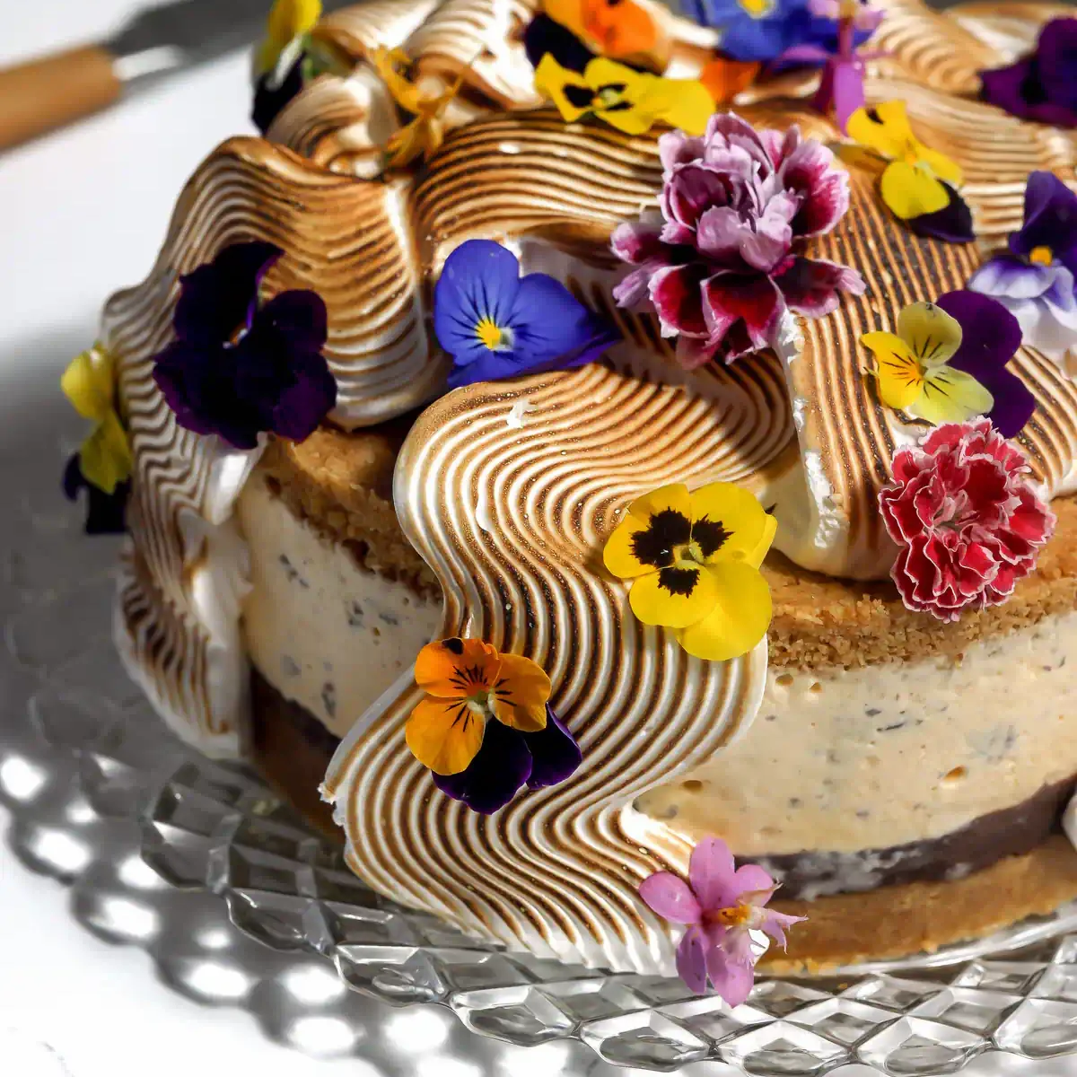 S'mores Ice Cream Cake