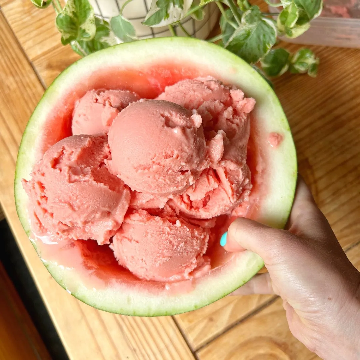 Watermelon Sorbet