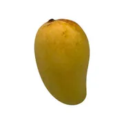 Ataulfo Mango