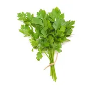 Fresh Parsley (1 Bunch)